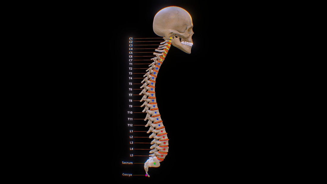 Growing Taller After Puberty = Possible!